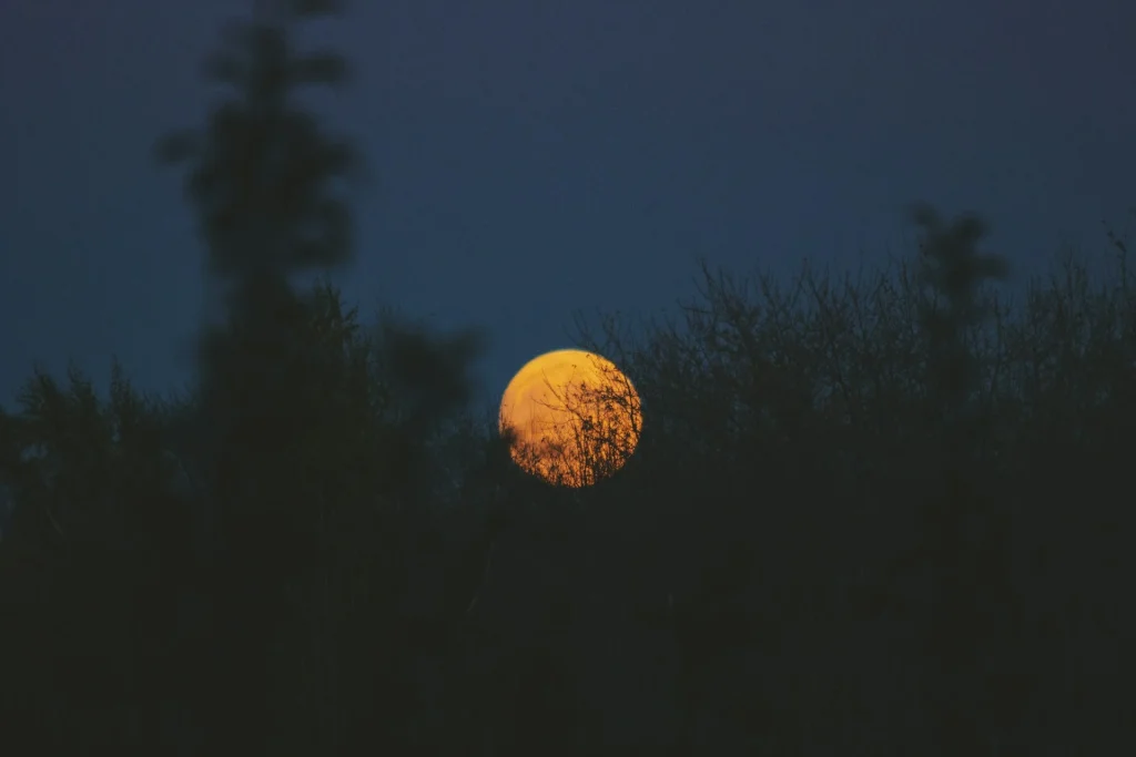 PLEINE LUNE DANS LA NUIT, PAYSAGE DE NATURE
