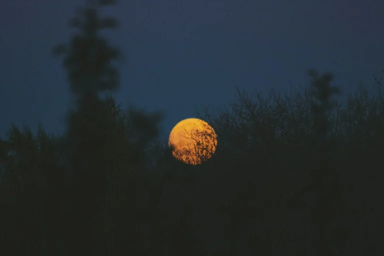 PLEINE LUNE DANS LA NUIT, PAYSAGE DE NATURE