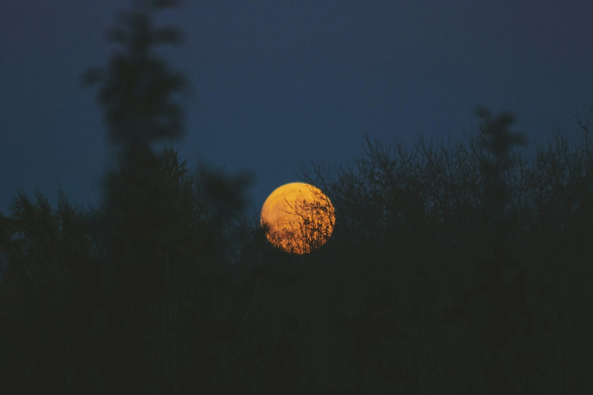 PLEINE LUNE DANS LA NUIT, PAYSAGE DE NATURE