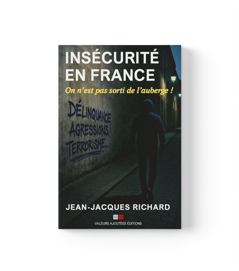 Couverture du livre insécurité en france